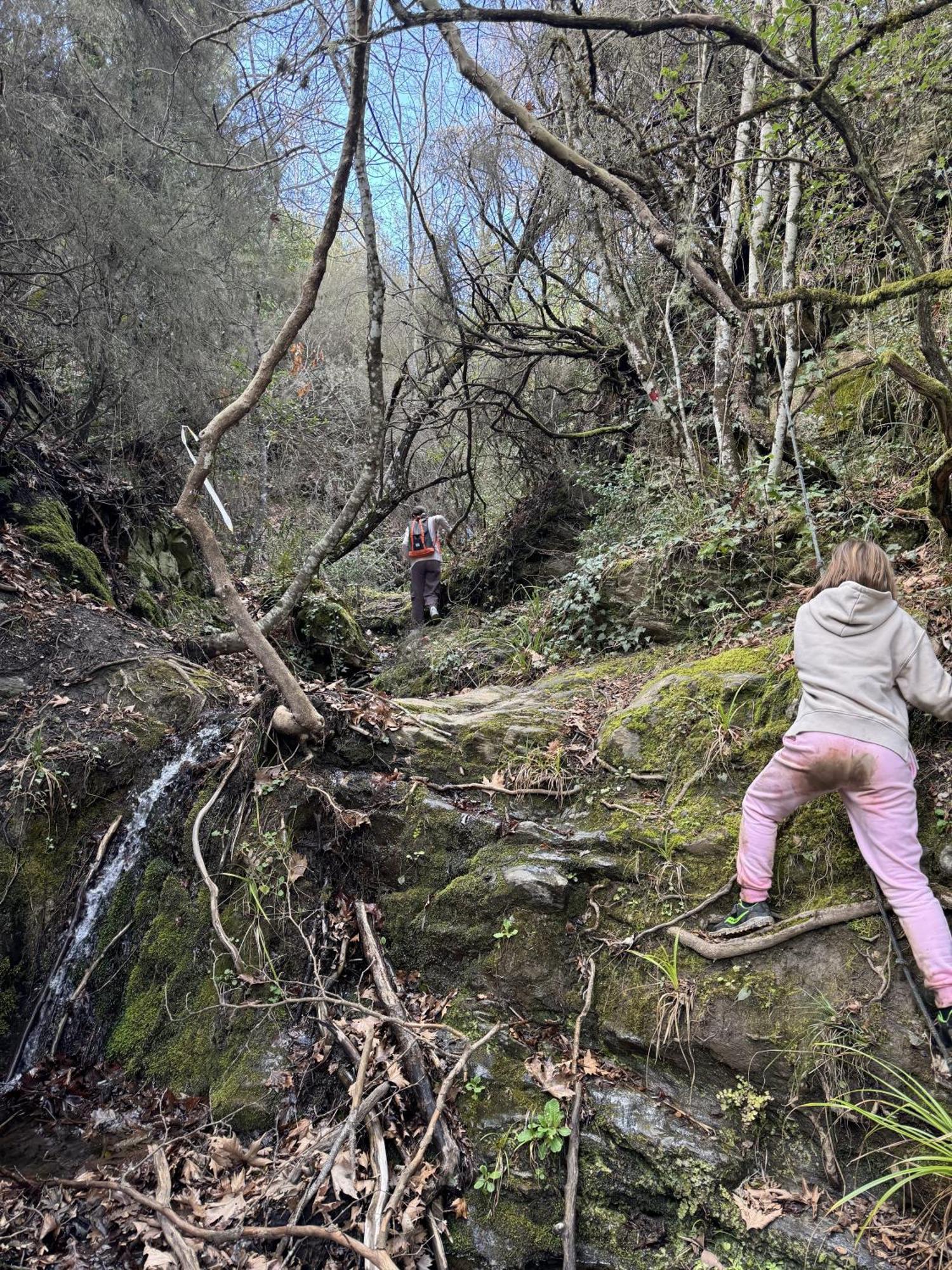 Foresta In Medias Mores トリポリス エクステリア 写真