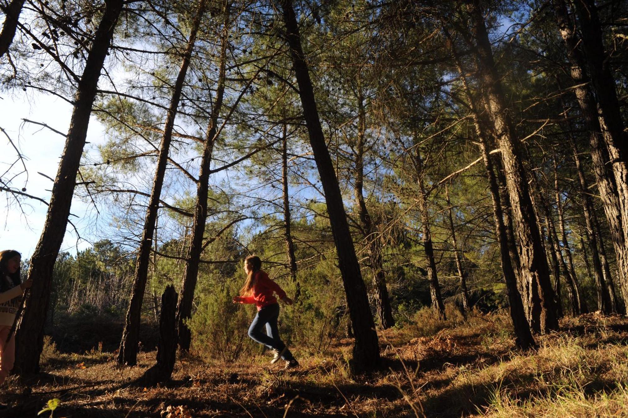Foresta In Medias Mores トリポリス エクステリア 写真
