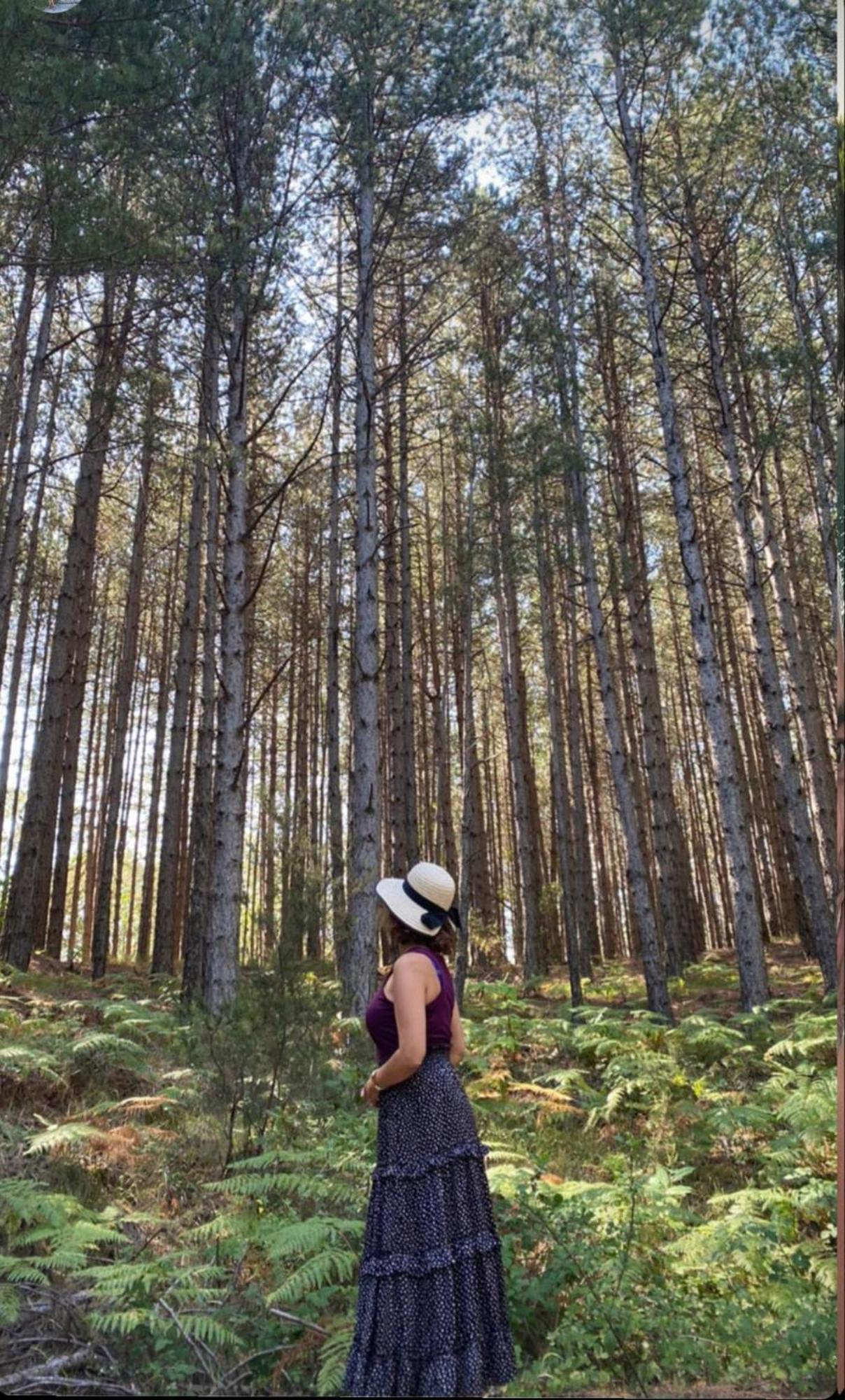 Foresta In Medias Mores トリポリス エクステリア 写真