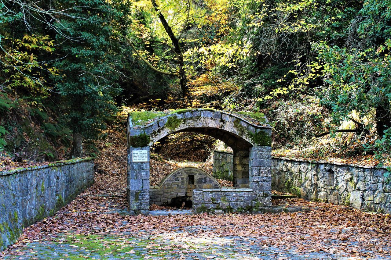Foresta In Medias Mores トリポリス エクステリア 写真