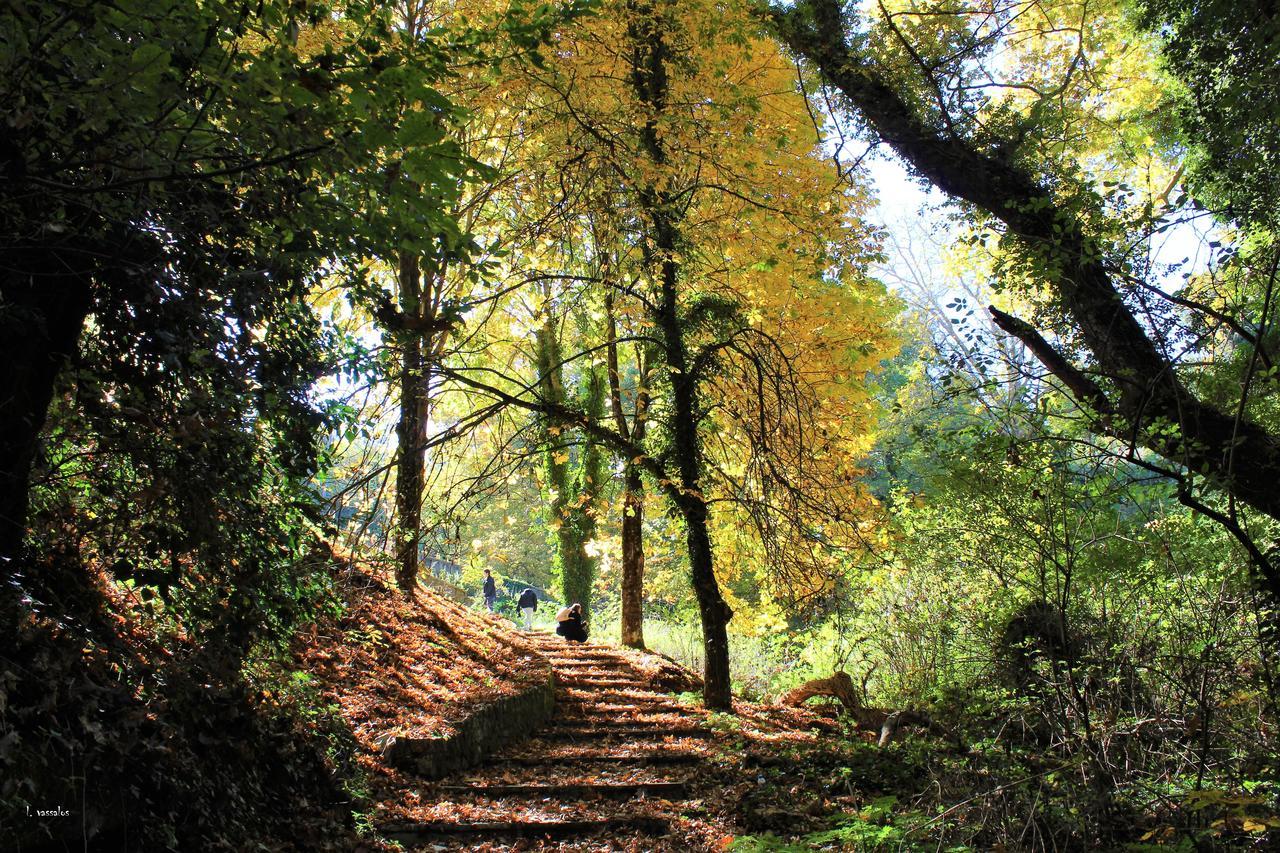 Foresta In Medias Mores トリポリス エクステリア 写真